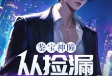 鉴宝神瞳：从捡漏开始逆袭热门小说(齐鸣陈雅)在线阅读无弹窗-阳光书屋