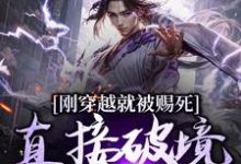 小说刚穿越就被赐死，直接破境陆地神仙主角宁尘免费阅读-阳光书屋