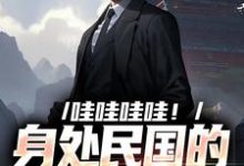 主人公是苏墨的小说哇哇哇哇！身处民国的我变大佬免费阅读-阳光书屋