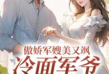 傲娇军嫂美又飒，冷面军爷被拿捏大结局，岑婧怡顾延卿小说无广告阅读-阳光书屋