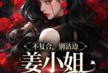 不复合,别沾边,姜小姐又美又飒免费阅读(顾衍泽苏辞心)小说免费读最新章节-阳光书屋