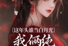 这年头谁当白月光，我俩纯纯走剧情精彩章节在线免费阅读（温沅李昭）-阳光书屋