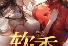 不是大哥，你兜这大一圈就为娶我大结局，宋翊小说无广告阅读-阳光书屋