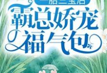 陆北城江如意小说免费阅读最新章节列表,一胎三宝后,霸总娇宠福气包小说在线看-阳光书屋