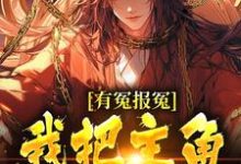 有冤报冤，我把主角宠刀尖（顾长清）完结版免费阅读-阳光书屋
