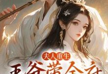 求助这本夫人重生，王爷带全府一起火葬场小说在哪里可以看完结版-阳光书屋