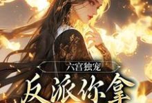 主人公是谢淑华的小说六宫独宠，反派你拿什么和我斗免费阅读-阳光书屋