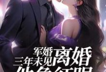 求助这本结婚三年不回家，军婚也得离小说在哪里可以看完结版-阳光书屋