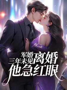 求助这本结婚三年不回家，军婚也得离小说在哪里可以看完结版