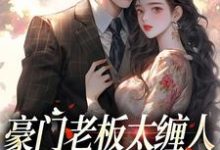 豪门老板太缠人，为她折腰为她疯（沈雾徐宴行）最新章节免费阅读-阳光书屋