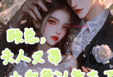 顾总,夫人又带小少爷认爹去了最新章节顾总,夫人又带小少爷认爹去了在线阅读-阳光书屋