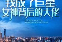 记忆苏醒,我成了巨星女神背后的大佬免费阅读,林舟苏青梅大结局无弹窗-阳光书屋