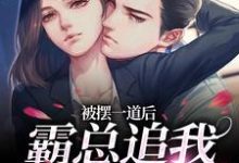 求助这本被摆一道后，霸总追我火葬场小说在哪里可以看完结版-阳光书屋