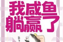 跪求主角是宁曦华苏璧的小说书名叫什么-阳光书屋