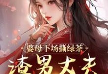 杜英箫牧尧在线阅读,婆母下场撕绿茶,渣男丈夫被赶出家小说完结版章节-阳光书屋
