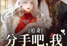 精彩章节阅读追妻:分手吧,我不哄你了(谈祈深颜缦)免费小说在线看-阳光书屋