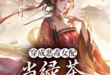 小说穿成恶毒女配,当绿茶这么有趣?主角乔挽颜免费阅读-阳光书屋