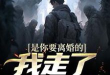 是你要离婚的,我走了你又哭?精彩章节在线免费阅读(陈潜柳如烟)-阳光书屋