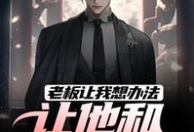 小说老板让我想办法，让他和老婆离婚主角秦羽免费阅读-阳光书屋