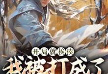 主人公是叶青的小说开局就挨揍，我被打成了武林至尊免费阅读-阳光书屋