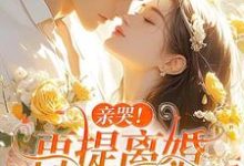 亲哭!再提离婚,霍总彻底失控了热门小说(苏暖霍云琛)在线阅读无弹窗-阳光书屋