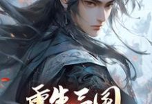 重生三国,开局黄巾起义(张新)完结版免费阅读-阳光书屋
