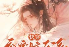 快穿：恋爱脑反派不接受BE剧本在线看，戴柯墨枭小说大结局在哪免费看-阳光书屋