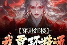 穿进红楼，我贾环精通朝堂争斗（贾环）完结版免费阅读-阳光书屋