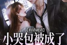 将错就错：小哭包被成了大佬心尖宠（慕汀洲姜桃）最新章节在线阅读-阳光书屋