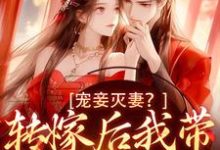 宠妾灭妻?转嫁后我带皇子夺王位热门小说(魏芷殊)在线阅读无弹窗-阳光书屋