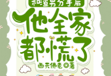 秦昭温书齐小说的结局在哪可以看,和渣男分手后,他全家都慌了免费阅读完结版-阳光书屋