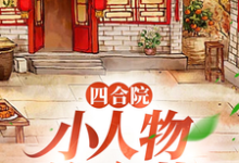 主人公是许大茂娄晓娥的小说四合院：小人物许大茂免费阅读-阳光书屋