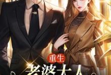 重生：老婆大人，我的钱你随便花精彩章节阅读(郑文栋苏迎)免费阅读大结局-阳光书屋