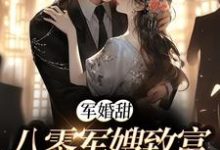军婚甜：八零军嫂致富撩夫两不误小说资源求分享，军婚甜：八零军嫂致富撩夫两不误陆宴寻姜枣在线阅读-阳光书屋