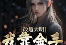 改造大明:我靠金手指夺江山(朱高炽)最新章节免费阅读-阳光书屋