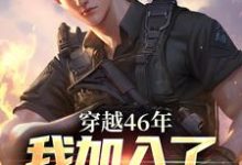 完结版穿越46年,我加入了人民的队伍在哪免费看,罗林小说在线阅读-阳光书屋