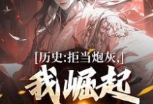 历史:拒当炮灰,我崛起收复河山完结版王克张煌言免费阅读大结局-阳光书屋