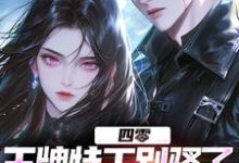 四零：王牌特工别骚了，敌军都怕了精彩章节在线免费阅读（柳龙）-阳光书屋