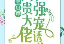 宝贝乖:高贵大佬在强宠诱哄小说最新章节在哪里可以免费看-阳光书屋