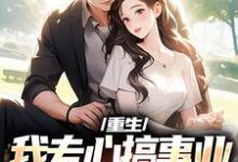 重生:我专心搞事业,前妻你别闹了大结局,叶湫姜雨薇小说无广告阅读-阳光书屋