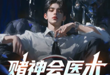 赌神会医术，谁也挡不住（林子羽苏楠）完结版免费阅读-阳光书屋