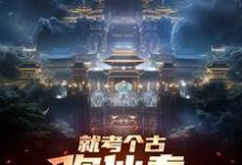 嬴政最新章节就考个古，你仙秦举国飞升？免费阅读-阳光书屋