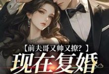 前夫哥又帅又撩？现在复婚来得及吗（主角安婳肖政）完结版免费阅读-阳光书屋