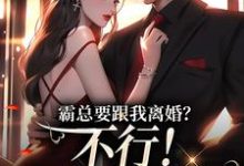 霸总要跟我离婚?不行!我身无分文热门小说(覃笙)在线阅读无弹窗-阳光书屋