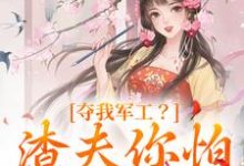 完结版夺我军工？渣夫你怕是没命享在哪免费看，凌朝歌南宫阎小说在线阅读-阳光书屋