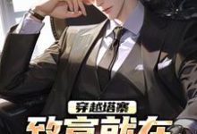 穿越塔寨，致富就在一瞬间（林恒沈幼楚）完结版免费阅读-阳光书屋