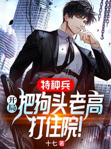 特种兵：开局把狗头老高打住院！在线看，宋染小说大结局在哪免费看