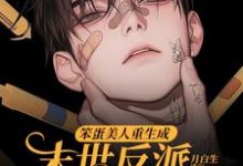 笨蛋美人重生成末世反派的男友后无弹窗沈绵叶瑾修最新章节列表-阳光书屋