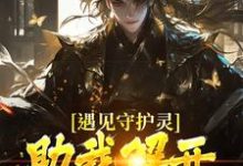小说遇见守护灵，助我解开父亲的秘密（林风）最新章节在哪看-阳光书屋