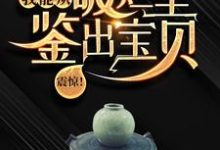 震惊!我能从破烂里鉴出宝贝!完结版陆飞免费阅读大结局-阳光书屋